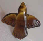 Tigereye Thunderbird�