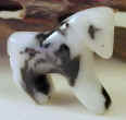 Zebra Jasper Horse