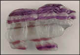 LION_Rainbow Fluorote_Pndt 