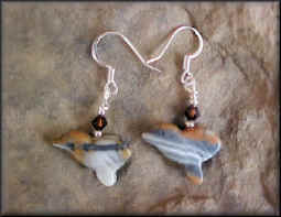 Picasso jasper 0205h6