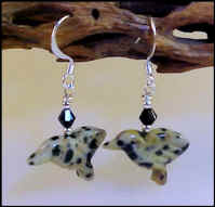 Dalmatian Hummingbirds 1112