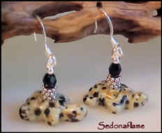 Dalmatian Turtle