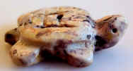 Picture Jasper�Turtle