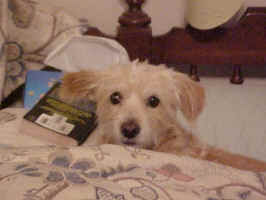 Amber2007.jpg (42621 bytes)