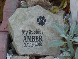Amber_RIP.jpg (72648 bytes)