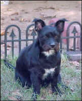 Bridget_Nov2009b.jpg (73333 bytes)