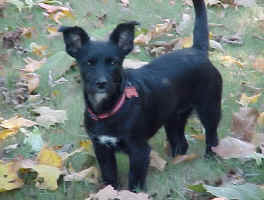 Bridget_Nov_2008.jpg (73496 bytes)