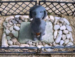 Bridget_RIP.JPG (237309 bytes)