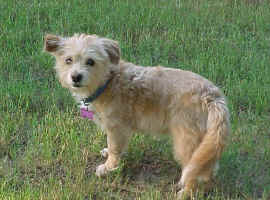 Bubbies_July07.jpg (93419 bytes)