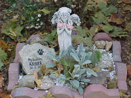 Bubbies_Oct19_2008.jpg (94879 bytes)