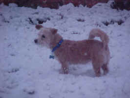 Bubbies_Snow1.jpg (31440 bytes)