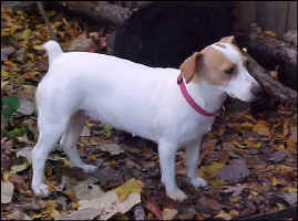 Lorelei_2009_nov.jpg (72727 bytes)