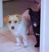 Zig-Bridget.JPG (42229 bytes)